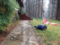 Najśmieszniejsze filmy