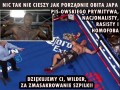 Wilder kontra Szpilka