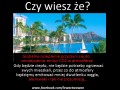 Globalna ocieplenie