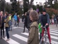 Fox On The Run - Lis się wstydzi?
