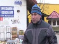 Kawka sieje postrach na targowisku