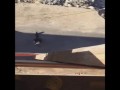Kot ninja