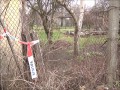 Fatalna pomyłka złodziei węgla. Wypuścili dzikie zwierzęta