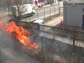 Robota pali im się w rękach...