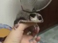 I believe I can fly. I believe I can touch the sky