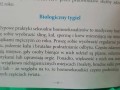edukacja homoseksualizmu według kościoła katolickiego