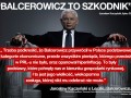 Balcerowicz to szkodnik