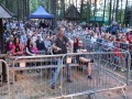 Wesele Kurpiowskie w Kadzidle