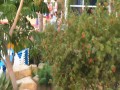 Szybkie rozstawianie leżaków na hotelowym basenie