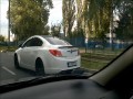 Kierowca pomaga psu przejść przez drogę