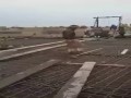 Betonowanie płyty w ciapalandii
