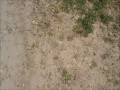 Jak mąż z żona przewozili lodówkę w bagażniku