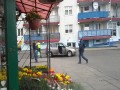 Policja zawija dziczka