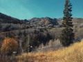 Google Pixel 4K Cinematic Video Footage (Camera Test)