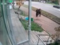 Oszukać przeznaczenie. Fart roku