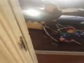 Karygodne zachowanie polskiej matki w UK
