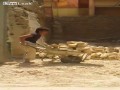 Mokry sen ZUSu