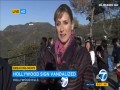 HOLLYWEED ktoś zmienił w nocy znany napis na wzgórzach Hollywood