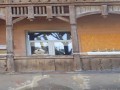 Rychu - śpiewający pies do hejnału, Oleśnica
