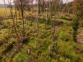 Warmia i Mazury Kraina 1000 Jezior