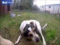 Niesamowita radość suczki wypuszczonej z klatki