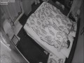 Kiedy zostawisz królika na noc poza klatką