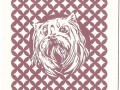 Pieski Małe i Duże Basset hound (2)