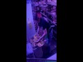 Umieszczenie tacy pełnej jedzenia na brudnym plastikowym koszu