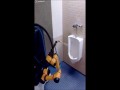 Robot do czyszczenia łazienki