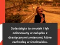 Solastalgia