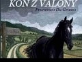 Kon z Valony