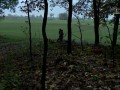 las w gałczewku