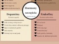 Hormony szczescia