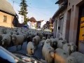 Górole - Barka