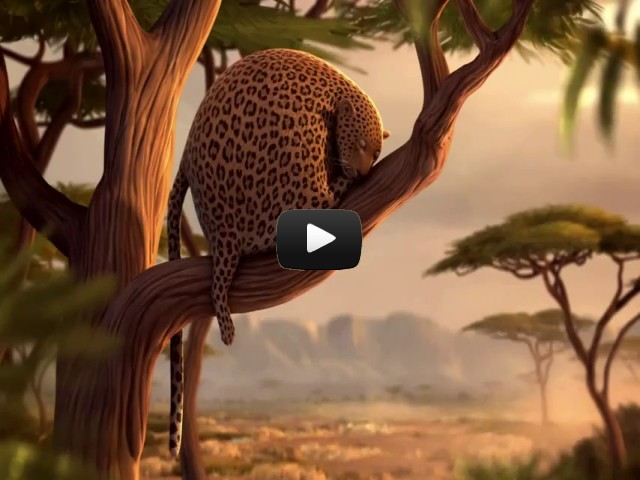 Круглые животные мультик картинки