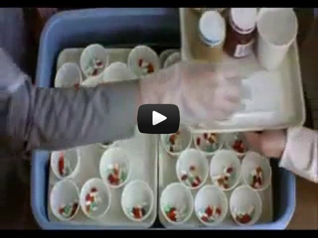 The HandmaidS Tale Trailer German The HandmaidS Tale Trailer German
